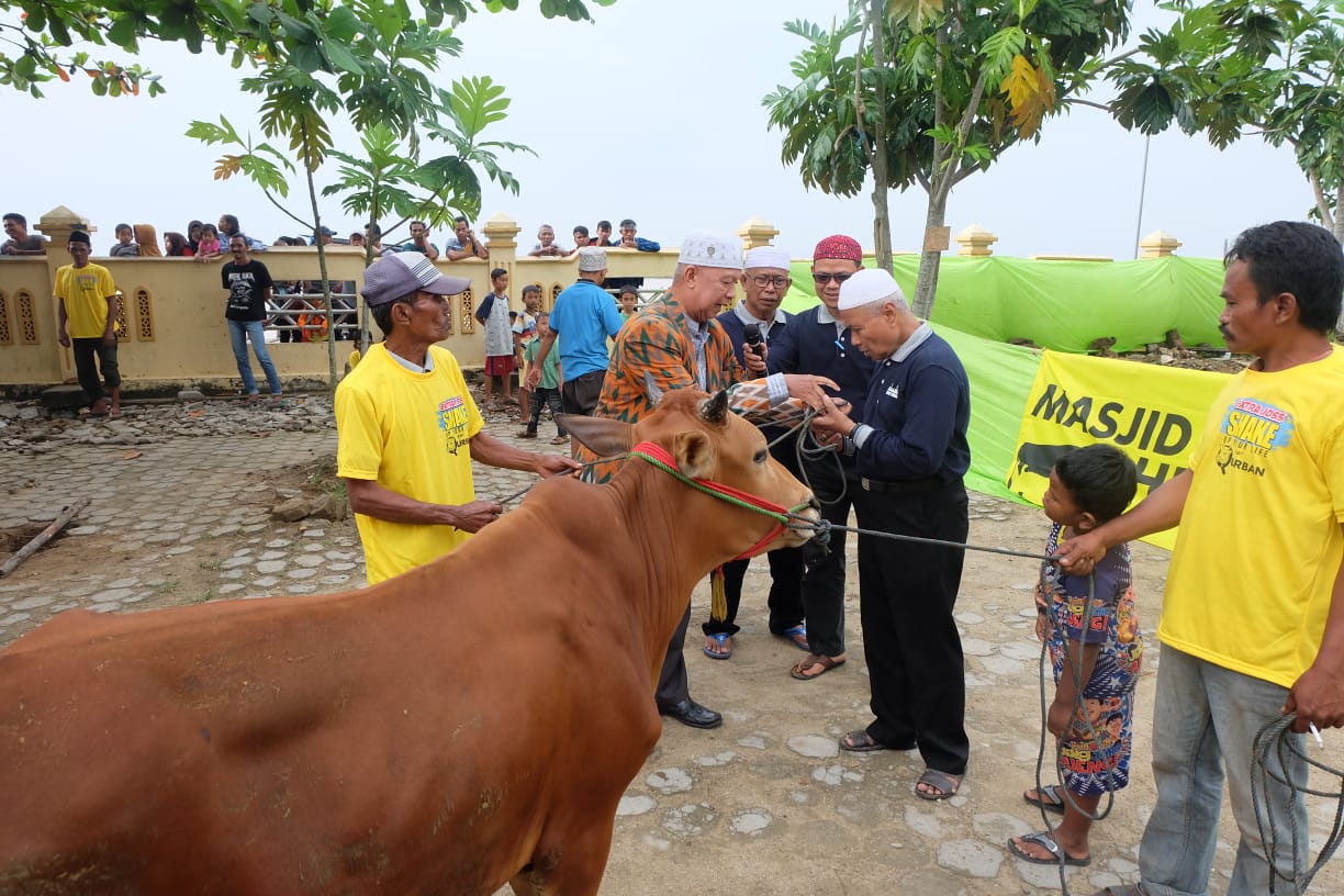 Masjid Al-Huda Tembilahan Qurban Belasan Ekor Sapi