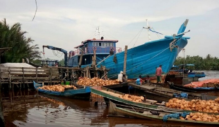 Thailand Banned Kelapa Indonesia, Ini Reaksi Perpekindo