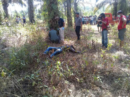Polres Rohul Sudah Periksa 4 Saksi,Mayat di Simpang Beringin Diduga Korban Pembunuhan