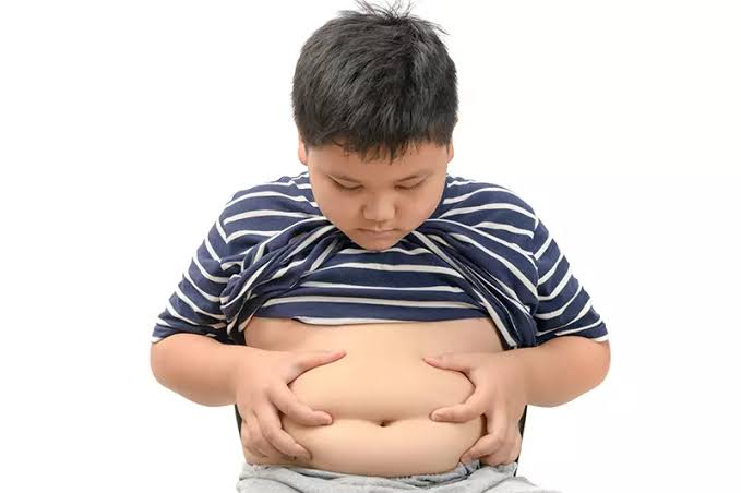Dinkes Inhil Paparkan Faktor Penyebab Obesitas