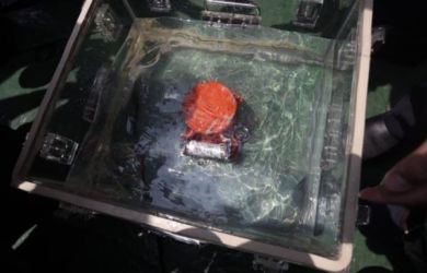 Black Box Lion Air Ditemukan, Mengapa Harus Direndam dalam Air?