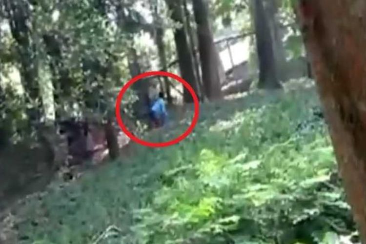Ingin 'Bercakap-cakap', Pria Ini Masuk ke Kandang Singa