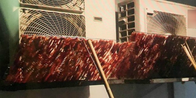 Benda Aneh Depan Mesin AC Ini Buat Satu Apartemen Jengkel, Lihat Lebih Dekat