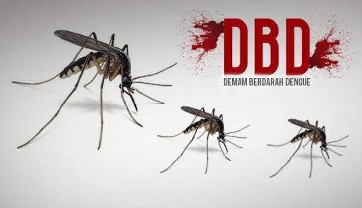 Selama 5 Bulan, 860 Kasus DBD Ditemukan di Riau