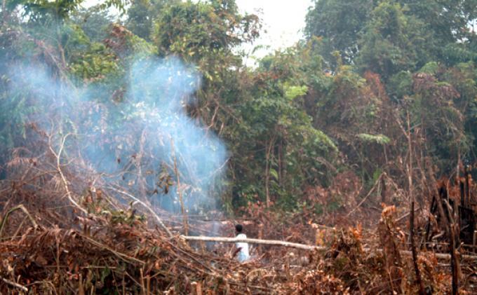 Bakar Lahan, Dua Pria di Kemuning Ditangkap Polisi