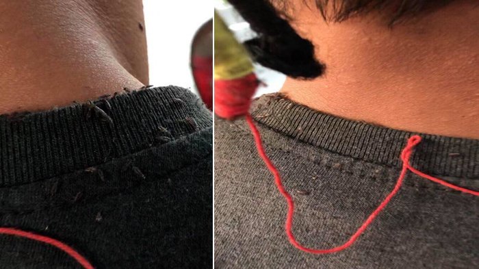 Penumpang Lihat Kutu di Kerah Baju Sopir Angkutan Umum yang Berambut Gimbal Ini, Hoeks Gelinya!