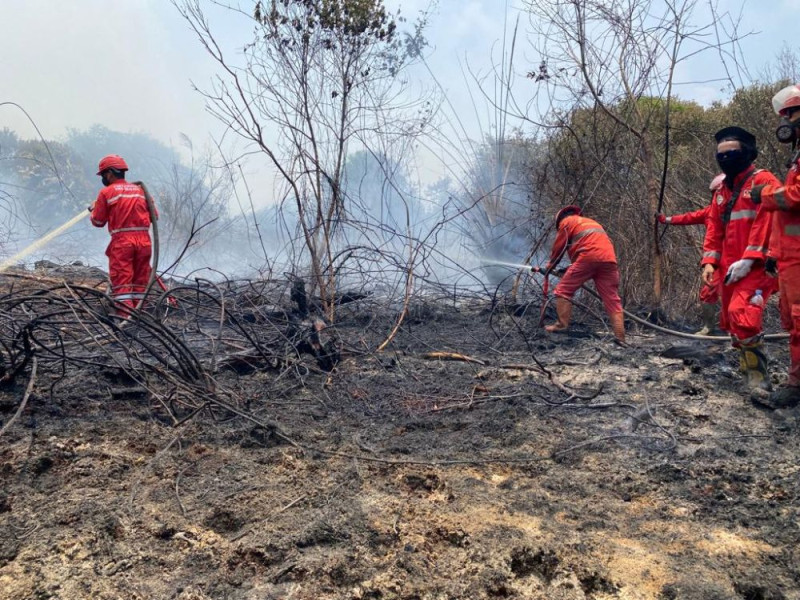 Dua Daerah di Riau Tetapkan Siaga Darurat