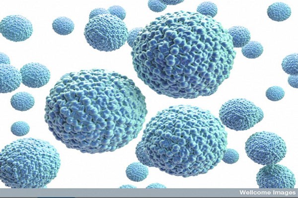 400 Perempuan Hamil Tertular Virus Zika di Ekuador Dalam Setahun
