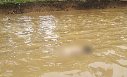 Bocah di Inhu Tewas Terseret Arus Sungai