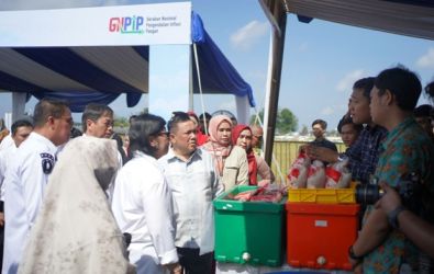 Pemprov Riau Kembangkan Kawasan Pertanian Cabai di Daerah