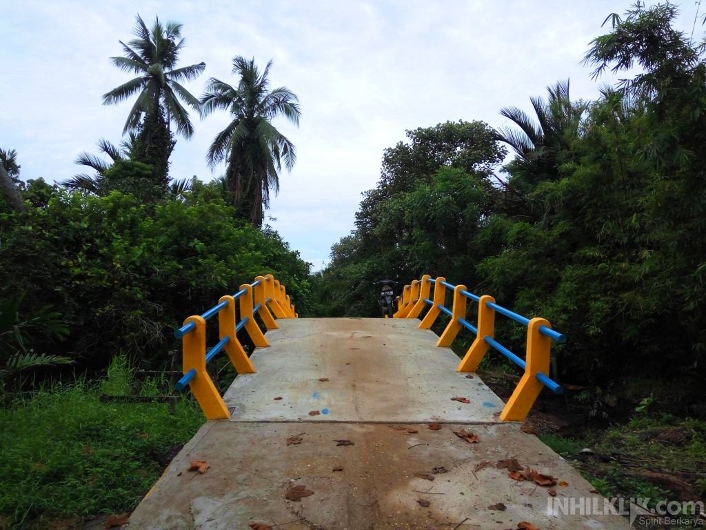 Dengan DMIJ Pembangunan Desa-Desa di Inhil Menggeliat