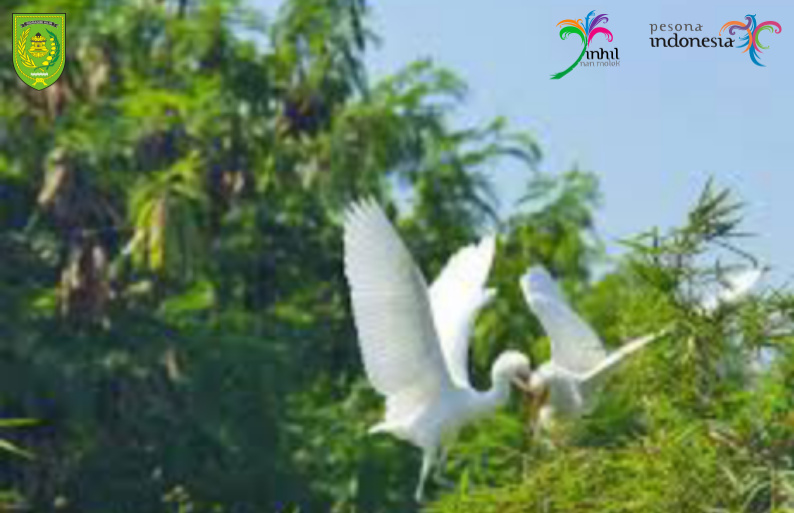 Pesona Pulau Basu dan Flora Dan Fauna Langkanya