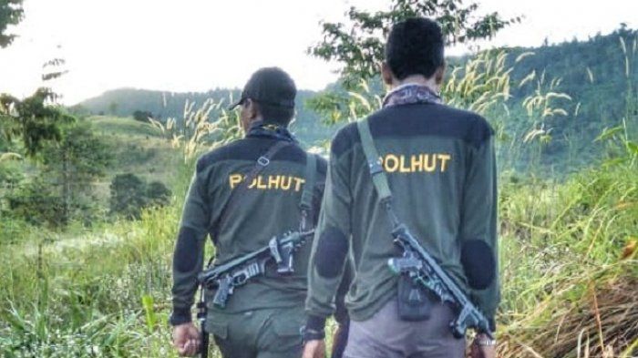 Pemprov Berniat 'Benahi' Keberadaan Polhut