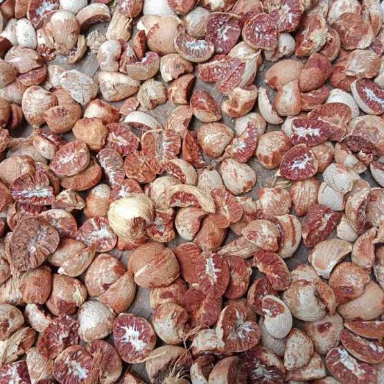 Naik Tipis, Harga Pinang Kering di Riau Minggu Ini Dihargai Rp4.400 per Kg