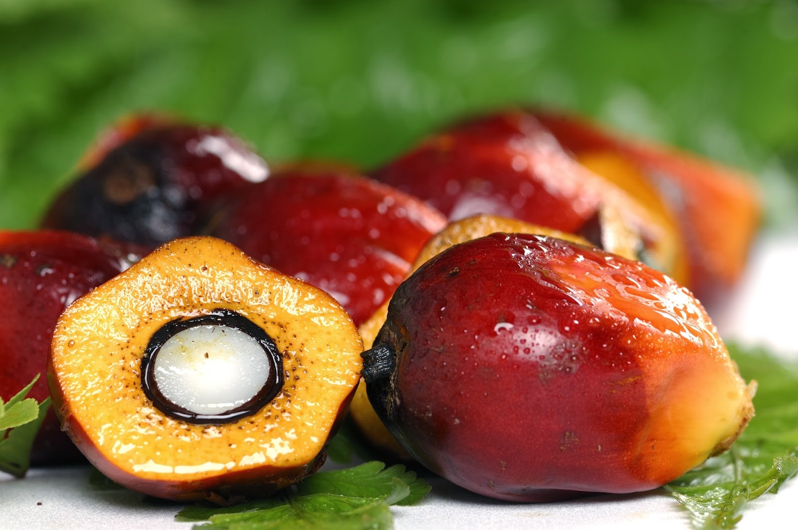 Riau Diharapkan Cari Alternatif Penopang Ekonomi Baru