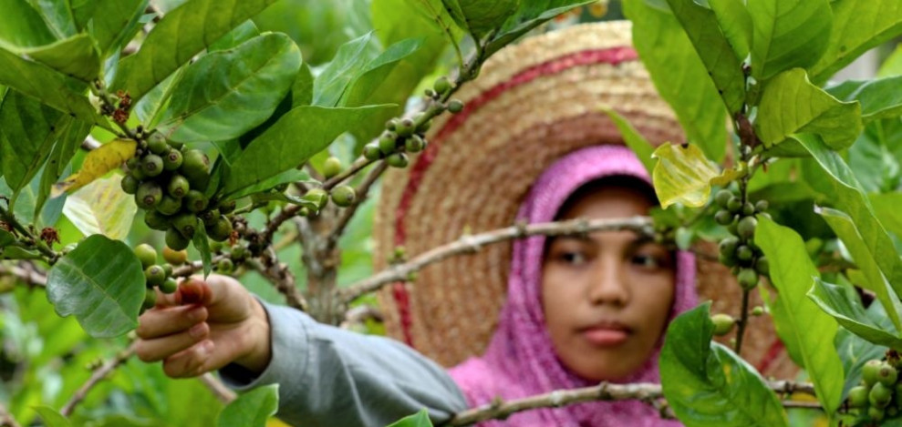 BPS Riau Resmi Merilis Hasil Sensus Pertanian 2023