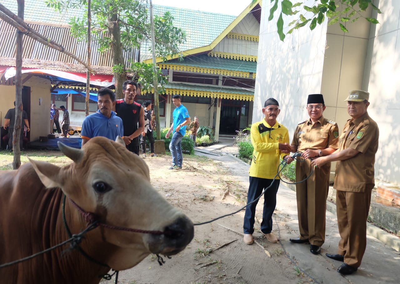 Idul Adha 1440 H, Bupati Tunaikan Ibadah Kurban Di lingkungan Setda Inhil