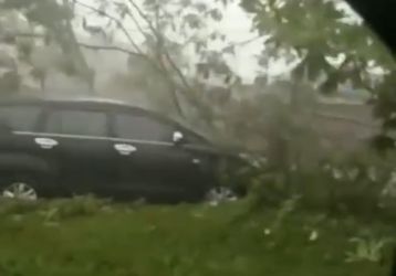 Hujan Disertai Angin Kencang, Satu Mobil Tertimpa Pohon Tumbang di Jalan Arifin Achmad