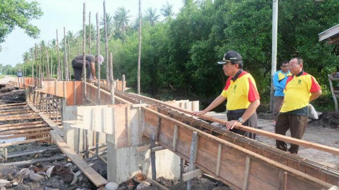 Bupati Inhil Tinjau Pembangunan Infrastruktur Jalan dan Jembatan Pulau Burung