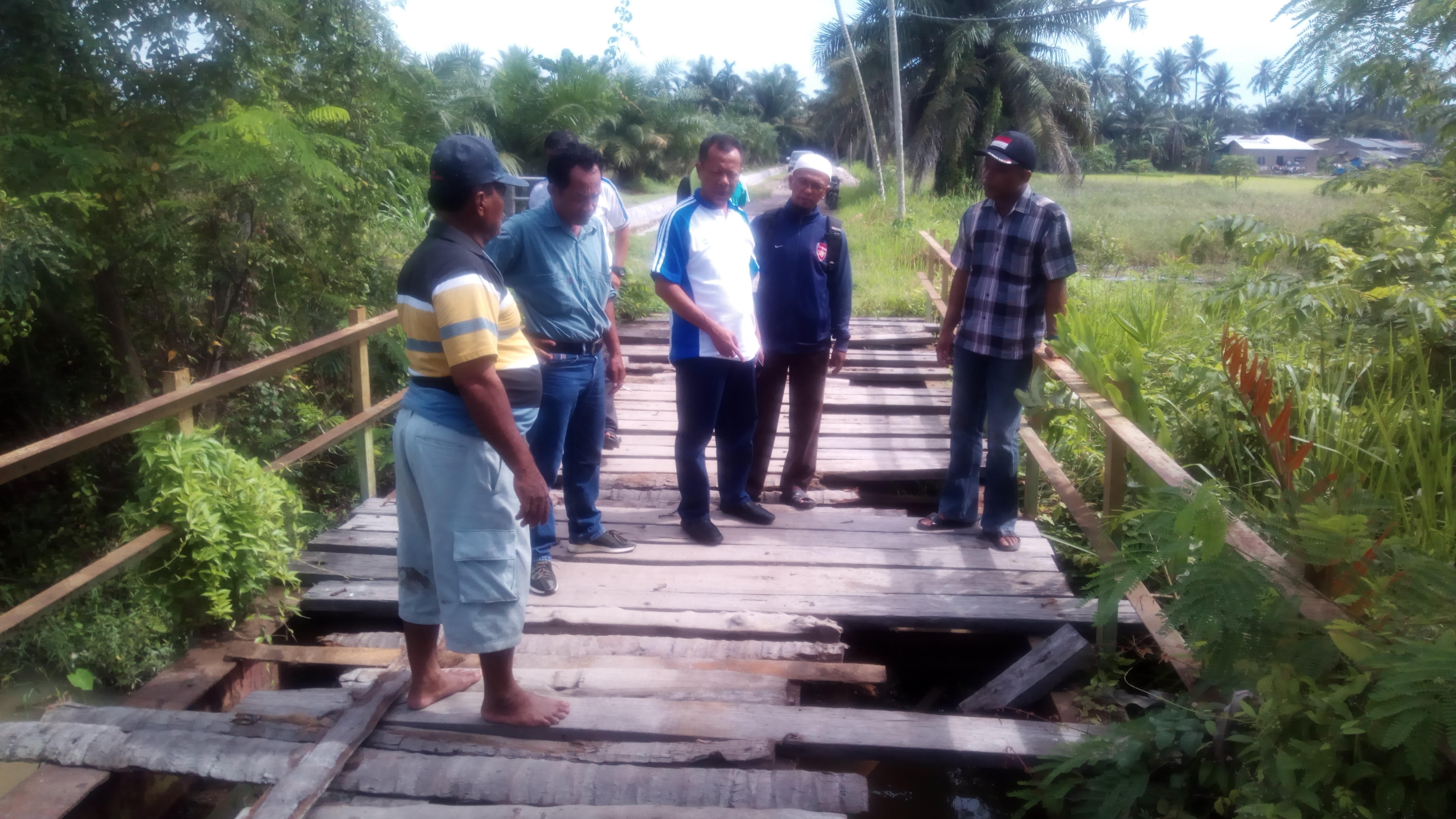 Camat Tanjung Beringin Tinjau Jembatan Penghubung Desa Yang Rusak Parah