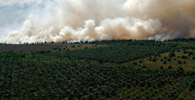 7 Titik Panas Masih Terdeteksi, Tahun Ini Riau Kembali Alami Bencana Asap?