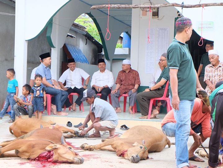 Berbagi di Idul Adha, Abdul Wahid 'Tumbangkan' Lima Ekor Hewan Kurban