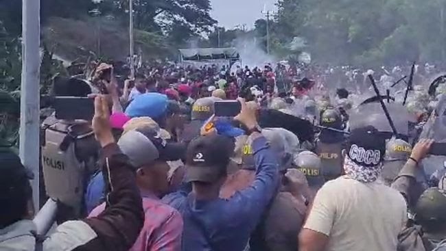LAM Riau Terbitkan Maklumat Usai Bentrok di Pulau Rempang