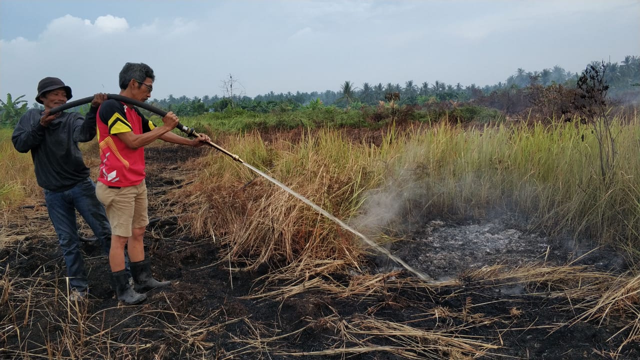 Karhutla Kembali Terjadi Ditengah Wabah COVID-19 di Inhil