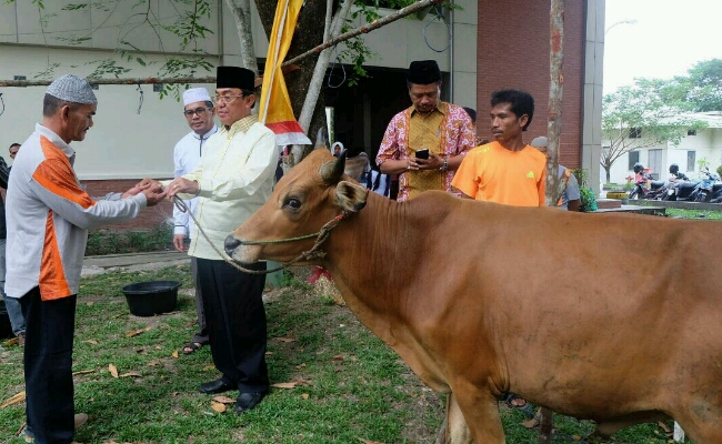 Bupati Inhil Tinjau Penyembelihan Qurban