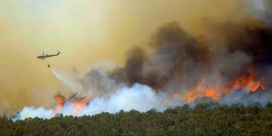 Sepanjang Januari-September, 5.376,46 Hektare Lahan di Riau Hangus Terbakar