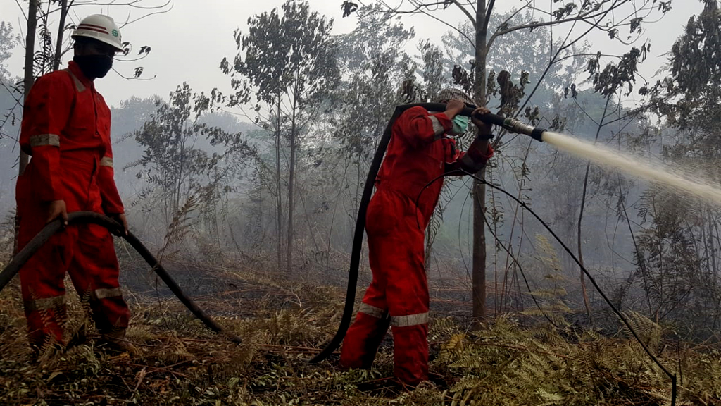 Melihat Kesiapan Tim RPK PT SRL Dalam Upaya Pengendalian Kebakaran Lahan dan Hutan