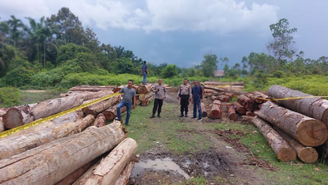 Polisi Amankan Supir Truk Memuat Kayu Illog di Kebun Durian Kampar