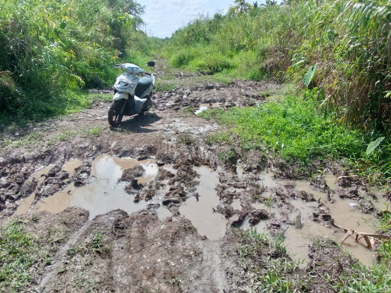 Kondisi Jalan di Desa Lahang Hulu Rusak Parah, Warga Berharap Segera Diperbaiki