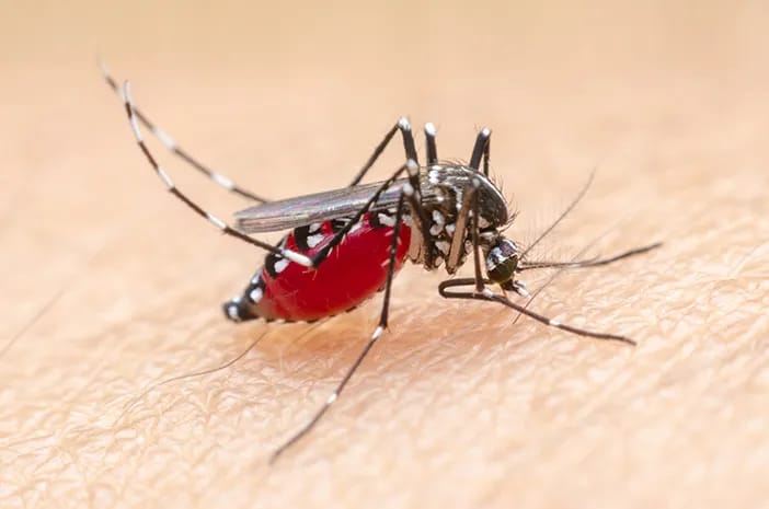 Dinkes Inhil Imbau Masyarakat Terapkan Perilaku Hidup Sehat Cegah Malaria