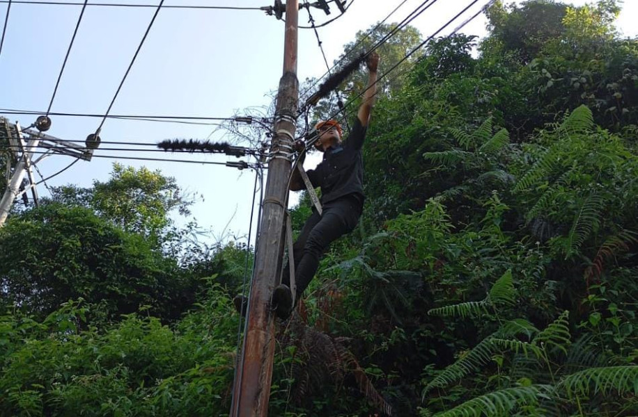 PLN Icon Plus Sumbagteng Rapikan Jaringan Kabel FO di Solok