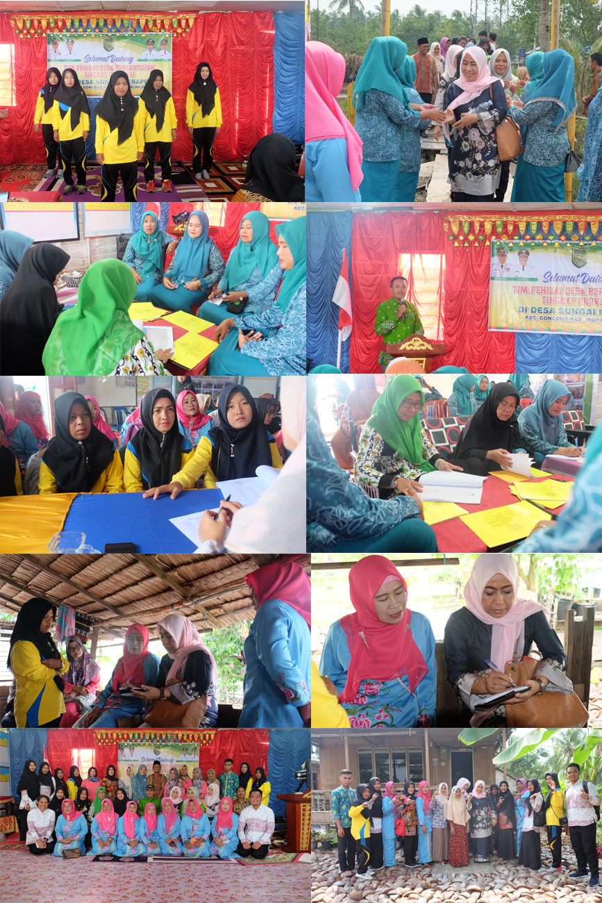 Dinkes Inhil dan Tim Provinsi Lakukan Penilaian PHBS di Desa Sungai Berapit