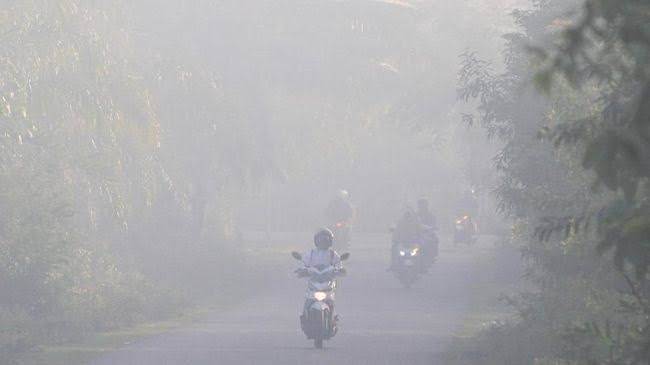 Waspada Asap Karhutla Terhadap Kesehatan, Ini Himbauan Dinkes Inhil
