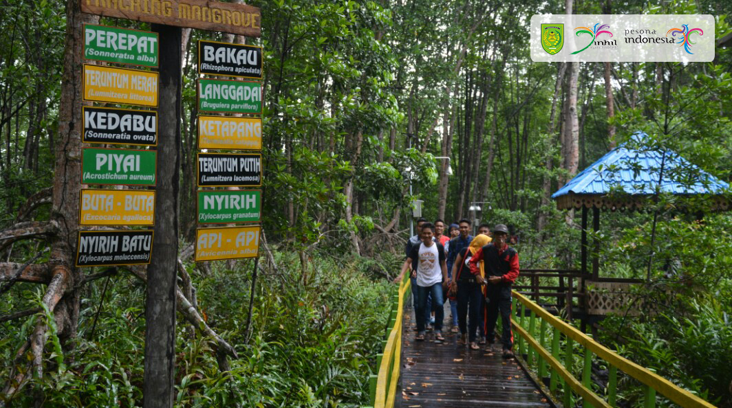 Sensasi Berbeda Menyusuri Indahnya Pesona Hutan Mangrove di Pantai Solop