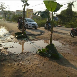 Tak Kunjung Diperbaiki, Warga Tanam Pohon Pisang di Jalan Sigunggung