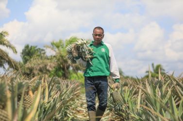 Naik 2,77 Persen, Riau Provinsi dengan Kenaikan NTP Tertinggi Kedua di Sumatera