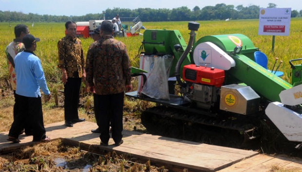 Ekonomi Sumatra Barat Menurun Karena Produksi Pertanian yang Melambat