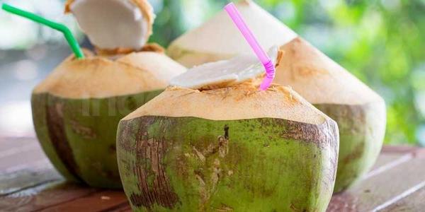 Pemkab Inhil Akan Pecahkan Rekor Muri Lagi, Minum Air Kelapa Muda Serentak 10.000 Butir