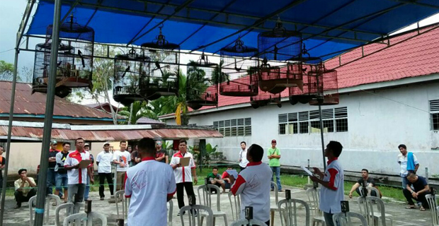 Bubuhan Bird Club Tembilahan Taja Lomba Burung Berkicau