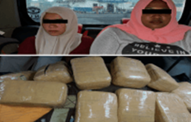 LUGU BENER! Dua Mahasiswi Mau Saja Disuruh Bawa Ganja 10 Kg