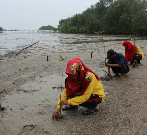 Selamatkan Kawasan Pesisir, SMK I Kempas, LSM Lingkungan dan PWI Lakukan Penanaman Bibit Bakau