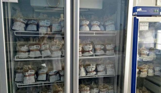 Ratusan Kantong Darah Terbuang Percuma