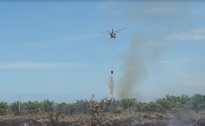 Tiga Heli Dikerahkan Padamkan Karhutla di Dumai dan Kandis