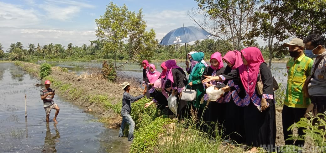 IPEMI Berikan Bantuan Bibit Ikan Nila kepada Nelayan di Desa Sentang