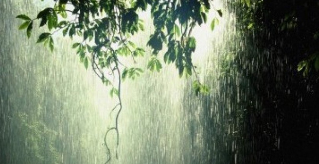 Riau Bagian Utara dan Pesisir Berpotensi Hujan