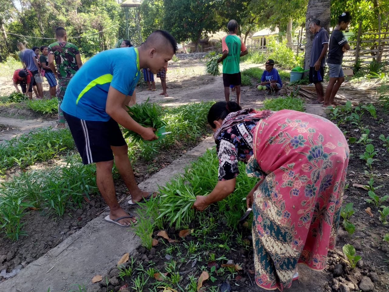 Satgas Pamtas RI-RDTL Yonif 132/BS Bagikan Hasil Panen Kepada Masyarakat